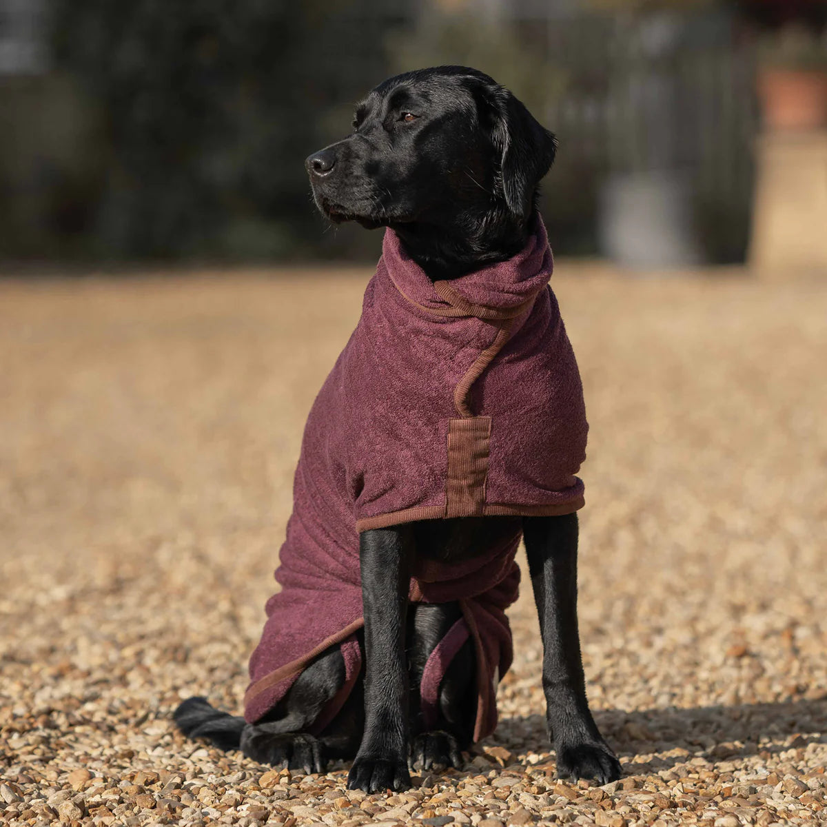 Ruff & Tumble Country Dog Drying Coat